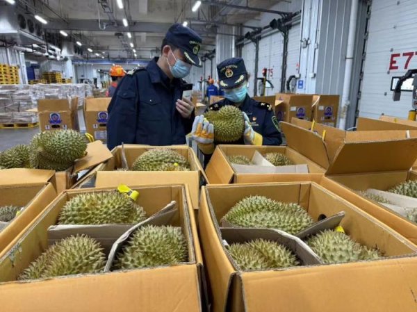 策略股 已到1600吨！“果中贵族”马上降价？